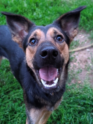 ook6swuxl18_logo.jpg ook6swuxl18_logo.jpg