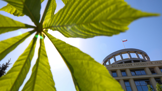 original_1c5q.jpg original_1c5q.jpg