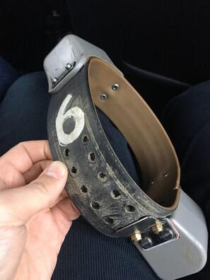 Нашыйнік ваўка Васі Нашыйнік ваўка Васі