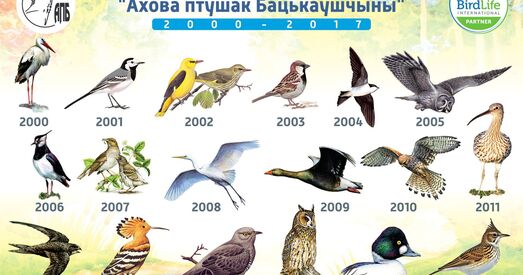 Міністэрства юстыцыі падало позву аб ліквідацыі «Аховы птушак Бацькаўшчыны»