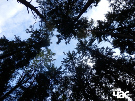 3/4 p9147262_logo.jpg