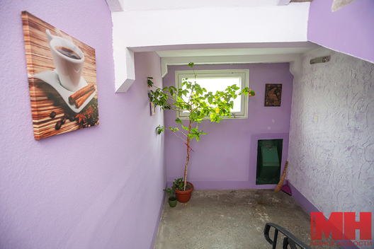 padzik_5.jpg padzik_5.jpg