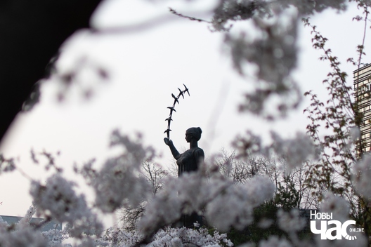 2/8 park_imja_ciune_suhihary_2_logo.jpg