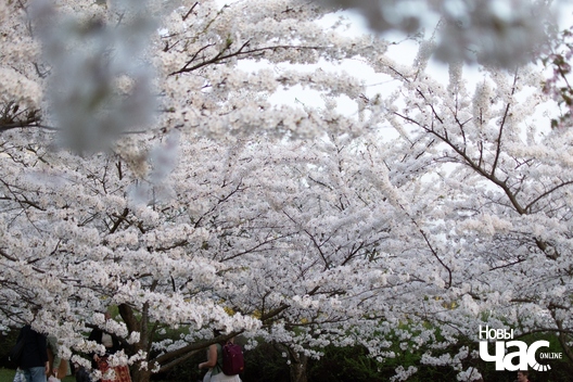 3/8 park_imja_ciune_suhihary_3_logo.jpg