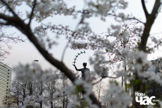 6/8 park_imja_ciune_suhihary_6_logo.jpg