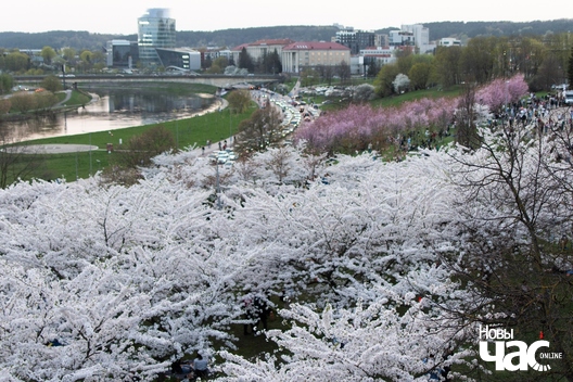 7/8 park_imja_ciune_suhihary_7_logo.jpg