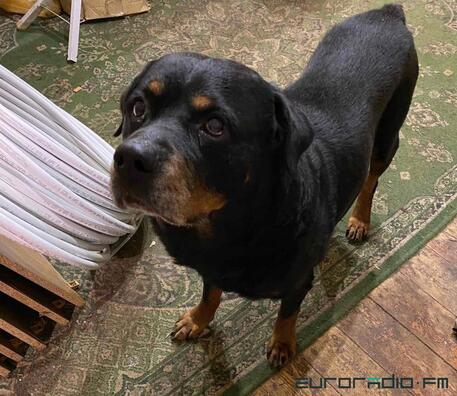 photo2020_11_1814_43_54.jpg photo2020_11_1814_43_54.jpg