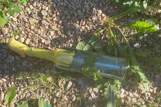 Ілюстрацыйны здымак mlyn.by Ілюстрацыйны здымак mlyn.by