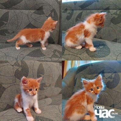 photo_2020_08_30_18_32_23_logo.jpg photo_2020_08_30_18_32_23_logo.jpg