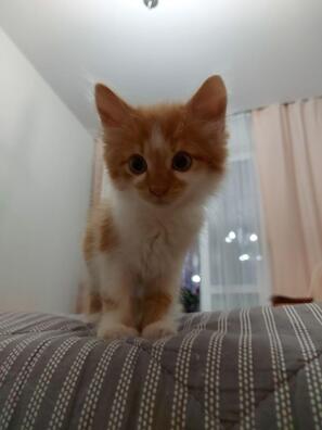 photo_2020_09_03_20_16_00_logo.jpg photo_2020_09_03_20_16_00_logo.jpg