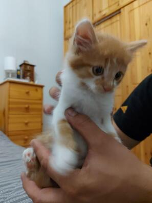 2/6 photo_2020_09_03_20_16_15__2__logo.jpg