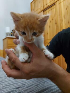 4/6 photo_2020_09_03_20_16_15__3__logo.jpg