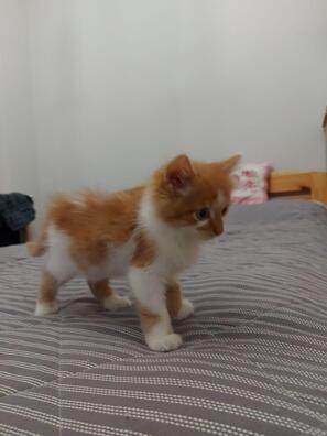 photo_2020_09_03_20_16_15_logo.jpg photo_2020_09_03_20_16_15_logo.jpg