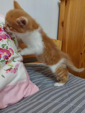 1/6 photo_2020_09_03_20_17_09_logo.jpg