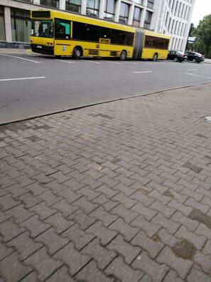 photo_2020_10_04_10_58_46.jpg photo_2020_10_04_10_58_46.jpg