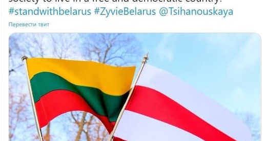 Дзень салідарнасці з Беларуссю: Прэзідэнт Літвы падтрымаў беларусаў