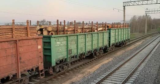 «Беллеспаперапрам» пахваліўся ростам тэмпаў распродажу беларускага лесу