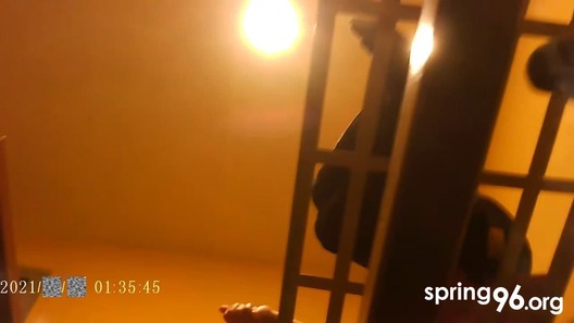 1/7 photo_2021_07_26_14_38_00.jpg