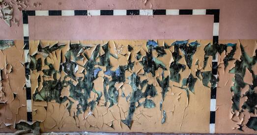 Чароўны выспятак «спецыяльнай ваеннай аперацыі»