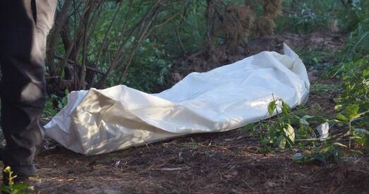 Вайна ва Украіне: што адбылося за дзень