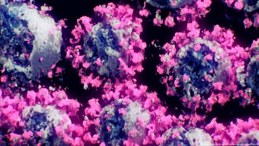 photo_2022_08_09_08_29_51.jpg photo_2022_08_09_08_29_51.jpg