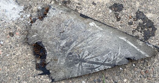 Вайна Расіі супраць Украіны, дзень 214-ты: Новыя страты і прымусовая мабілізацыя