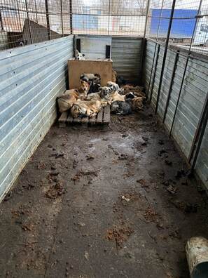 photo_2022_12_01_15_27_25.jpg photo_2022_12_01_15_27_25.jpg