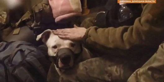 photo_2022_12_31_18_44_36_logo.jpg.webp photo_2022_12_31_18_44_36_logo.jpg.webp