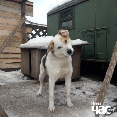 plci_yc1ee4_logo.jpg plci_yc1ee4_logo.jpg