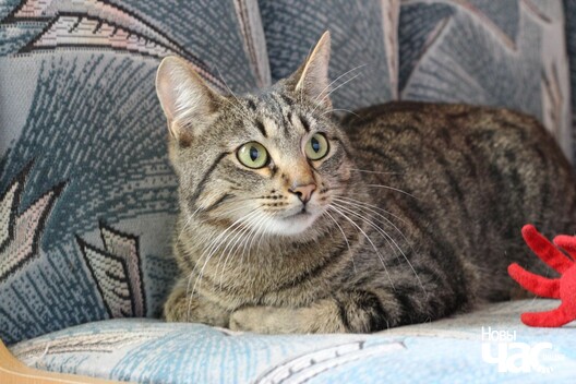 plwl26yvdym_logo.jpg plwl26yvdym_logo.jpg