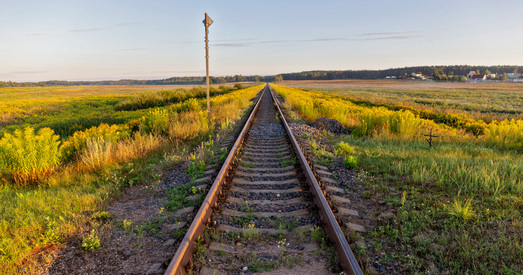 Незайздросны лёс мігрантаў на беларускай мяжы