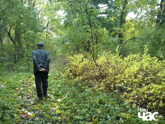 Праз прысады і кустоўе Філарэт Рыгоравіч вядзе нас да панскай капцільні Праз прысады і кустоўе Філарэт Рыгоравіч вядзе нас да панскай капцільні