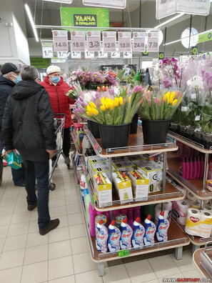 price_6a.jpg price_6a.jpg