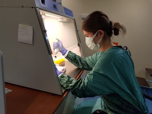 prof_dr_karadenizli_covid_19_simdiye_kadar_yaklasik_5_bin_mutasyon_001.jpg prof_dr_karadenizli_covid_19_simdiye_kadar_yaklasik_5_bin_mutasyon_001.jpg