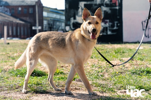 3/6 pttirk3tkfu_logo.jpg