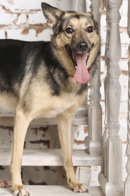 1/3 qltxiwtvwru_logo.jpg