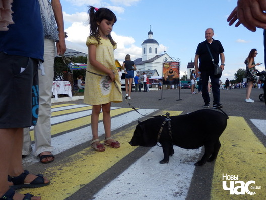 10/11 rakauski_fest_dzijana_seradzjuk__4__logo.jpg