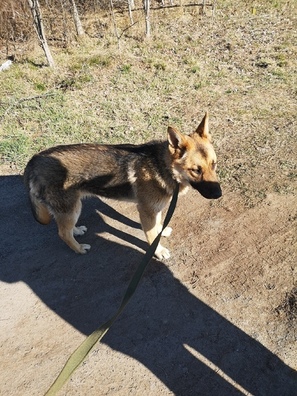 rc_n_dgm4j8_logo.jpg rc_n_dgm4j8_logo.jpg