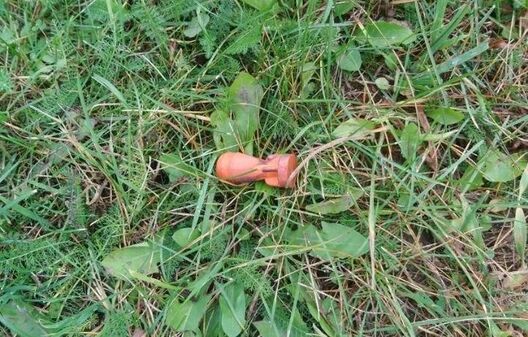 Фота: чытач TUT.BY Фота: чытач TUT.BY