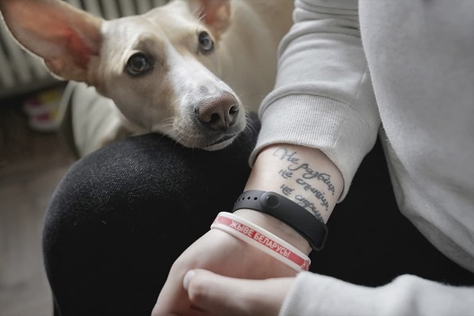 run_dog_run.jpg run_dog_run.jpg