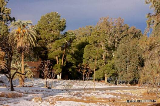 2/13 sahara_snow_3.jpg