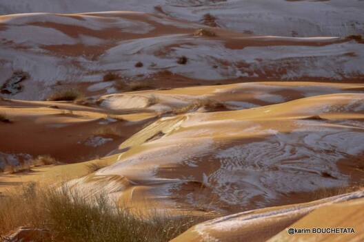 3/13 sahara_snow_6.jpg