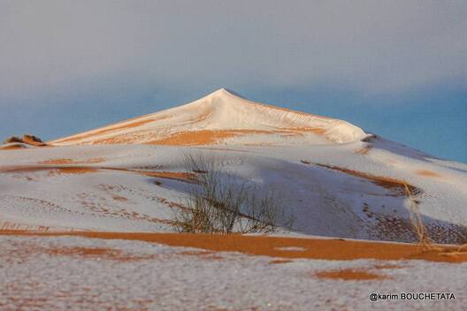 8/13 sahara_snow_7.jpg