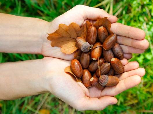 scale_1200_55.webp scale_1200_55.webp