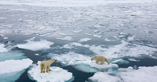 Вайна ва Украіне адкідае чалавецтва назад у дасягненні кліматычных мэтаў