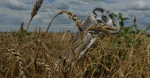 Лукашэнка: украінцы падпальваюць свае палеткі