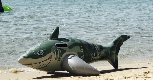 Асобная думка. Акулы NATO ў Мінскім моры