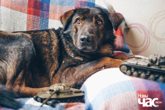 sjdljhddjti_logo.jpg sjdljhddjti_logo.jpg