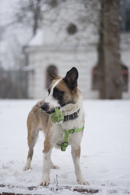 1/6 sp9egqcjzq8_logo.jpg