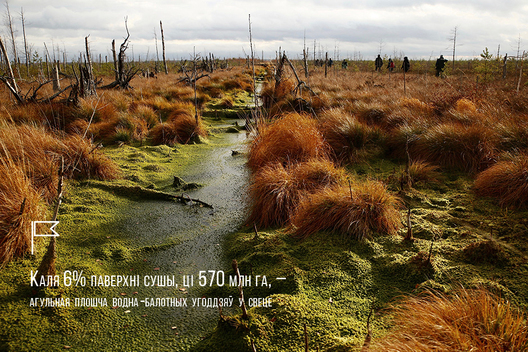 Фота 34mag.net Фота 34mag.net